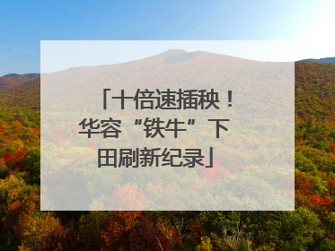 十倍速插秧！华容“铁牛”下田刷新纪录