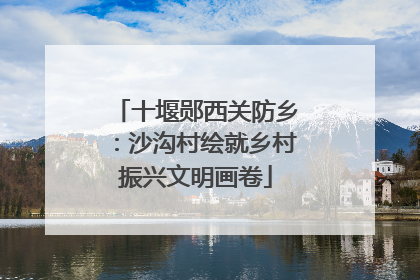十堰郧西关防乡：沙沟村绘就乡村振兴文明画卷