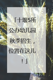 十堰5所公办幼儿园秋季招生，位置在这儿！