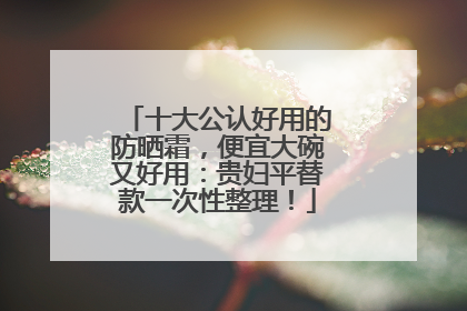 十大公认好用的防晒霜，便宜大碗又好用：贵妇平替款一次性整理！