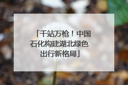 千站万枪！中国石化构建湖北绿色出行新格局