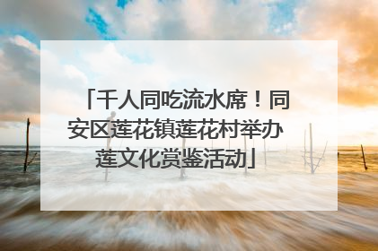 千人同吃流水席！同安区莲花镇莲花村举办莲文化赏鉴活动