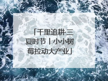 千里追耕·三夏时节丨小小树莓拉动大产业