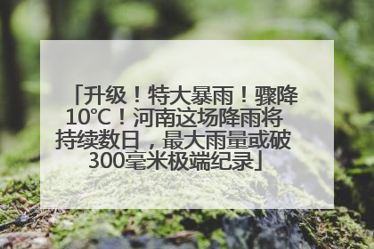 升级！特大暴雨！骤降10℃！河南这场降雨将持续数日，最大雨量或破300毫米极端纪录