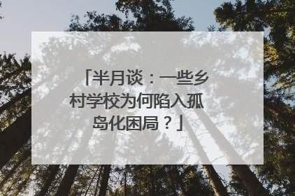 半月谈：一些乡村学校为何陷入孤岛化困局？