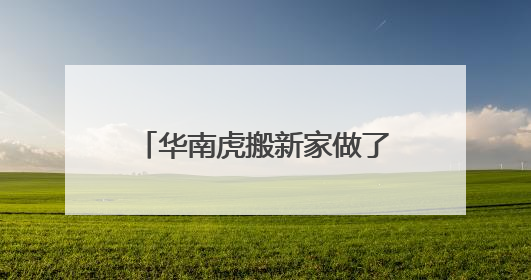 华南虎搬新家做了哪些事儿？来看虎虎日常Vlog