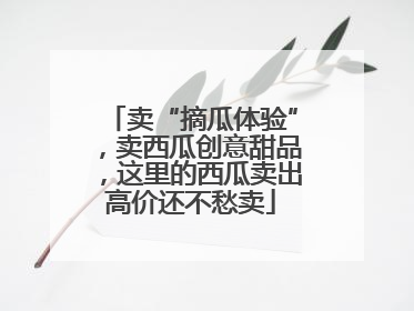 卖“摘瓜体验”，卖西瓜创意甜品，这里的西瓜卖出高价还不愁卖