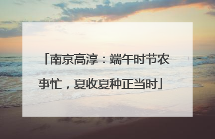 南京高淳：端午时节农事忙，夏收夏种正当时