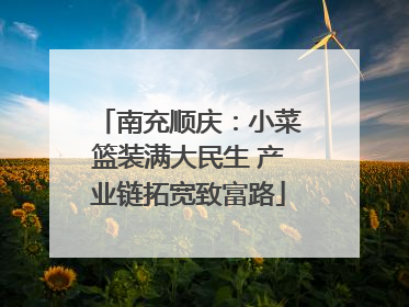 南充顺庆：小菜篮装满大民生 产业链拓宽致富路