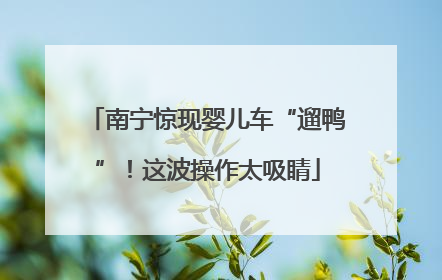 南宁惊现婴儿车“遛鸭”！这波操作太吸睛