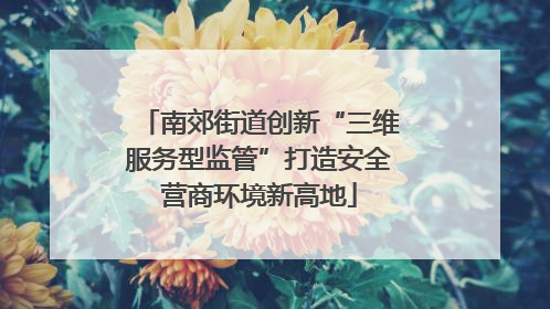 南郊街道创新“三维服务型监管”打造安全营商环境新高地