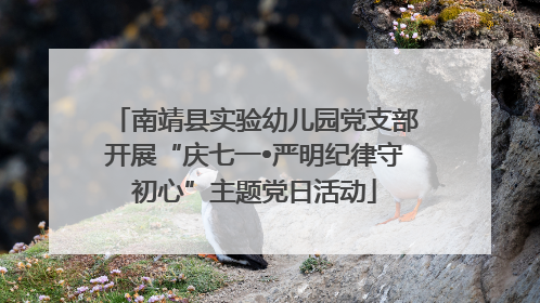 南靖县实验幼儿园党支部开展“庆七一•严明纪律守初心”主题党日活动