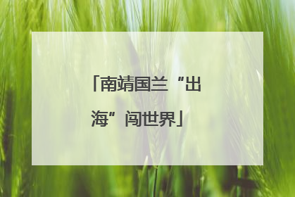 南靖国兰“出海”闯世界