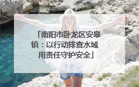 南阳市卧龙区安皋镇：以行动排查水域 用责任守护安全