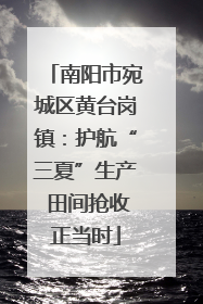 南阳市宛城区黄台岗镇：护航“三夏”生产 田间抢收正当时