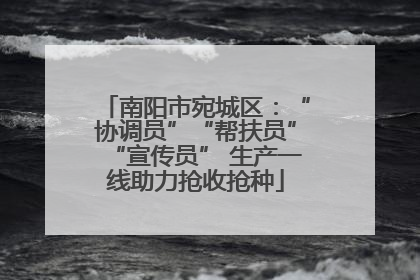 南阳市宛城区：“协调员”“帮扶员”“宣传员” 生产一线助力抢收抢种
