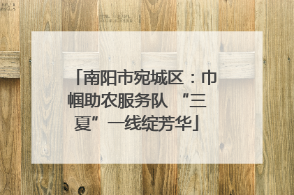 南阳市宛城区：巾帼助农服务队 “三夏”一线绽芳华