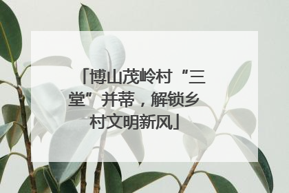 博山茂岭村“三堂”并蒂，解锁乡村文明新风