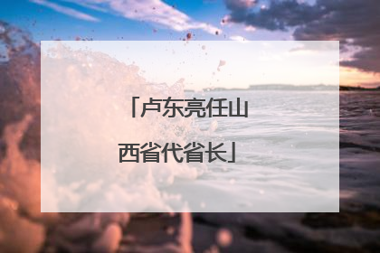 卢东亮任山西省代省长