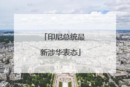 印尼总统最新涉华表态