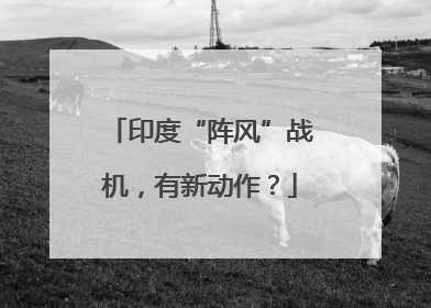 印度“阵风”战机，有新动作？