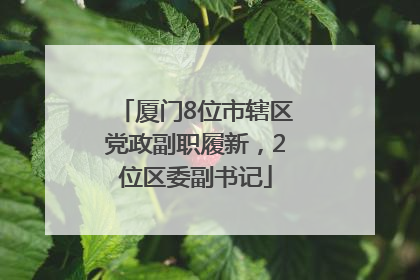 厦门8位市辖区党政副职履新，2位区委副书记