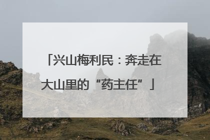 兴山梅利民：奔走在大山里的“药主任”