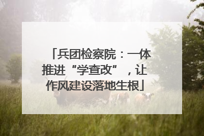 兵团检察院：一体推进“学查改”，让作风建设落地生根