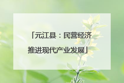 元江县：民营经济推进现代产业发展