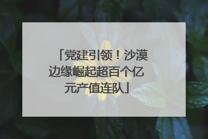 党建引领！沙漠边缘崛起超百个亿元产值连队