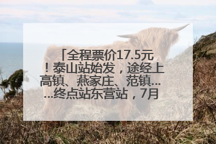 全程票价17.5元！泰山站始发，途经上高镇、燕家庄、范镇……终点站东营站，7月1日开通！