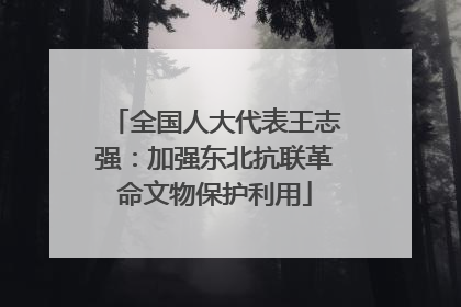 全国人大代表王志强：加强东北抗联革命文物保护利用