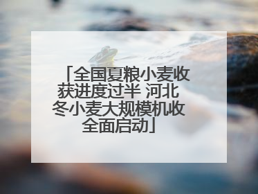 全国夏粮小麦收获进度过半 河北冬小麦大规模机收全面启动