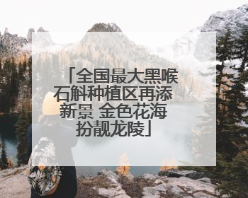 全国最大黑喉石斛种植区再添新景 金色花海扮靓龙陵