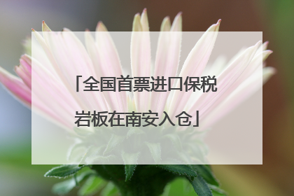 全国首票进口保税岩板在南安入仓