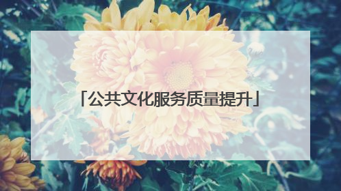 公共文化服务质量提升