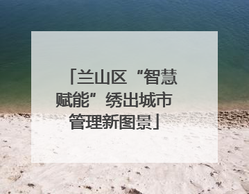 兰山区“智慧赋能”绣出城市管理新图景
