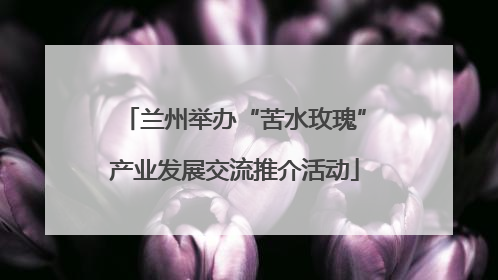 兰州举办“苦水玫瑰”产业发展交流推介活动