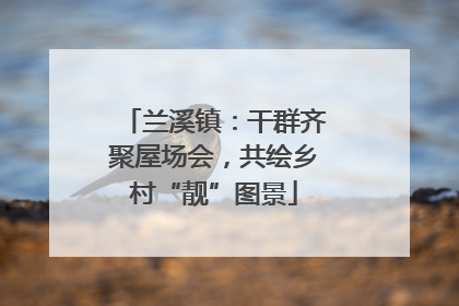 兰溪镇：干群齐聚屋场会，共绘乡村“靓”图景
