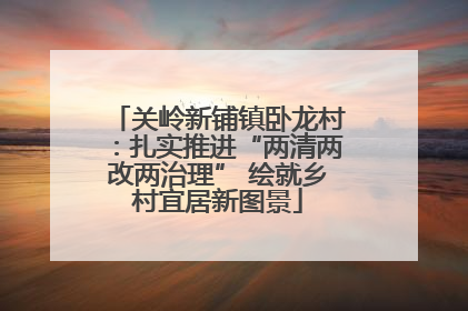 关岭新铺镇卧龙村：扎实推进“两清两改两治理” 绘就乡村宜居新图景