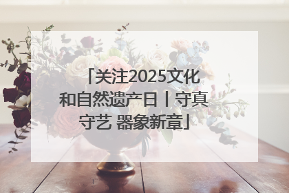 关注2025文化和自然遗产日丨守真守艺 器象新章