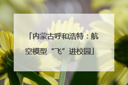 内蒙古呼和浩特：航空模型“飞”进校园