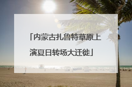 内蒙古扎鲁特草原上演夏日转场大迁徙
