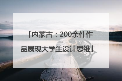 内蒙古：200余件作品展现大学生设计思维