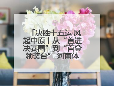 决胜十五运·风起中原丨从“首进决赛圈”到“首登领奖台” 河南体操“突破”何来