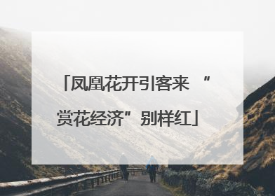 凤凰花开引客来 “赏花经济”别样红