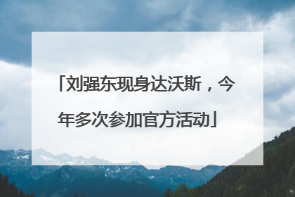 刘强东现身达沃斯，今年多次参加官方活动