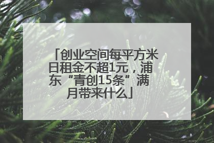 创业空间每平方米日租金不超1元，浦东“青创15条”满月带来什么