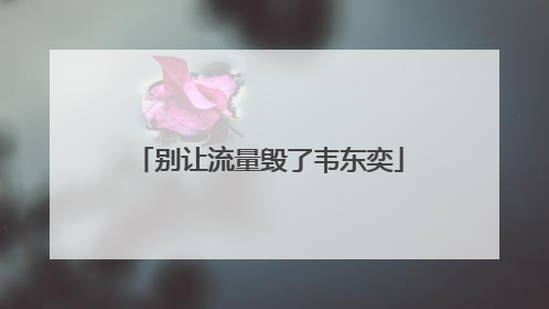 别让流量毁了韦东奕