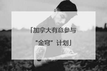 加拿大有意参与“金穹”计划